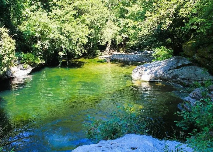 Alpstuga Tiny House - Terrace On Stilts - Nature Murato